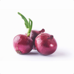 Cebola