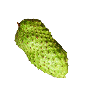 Graviola
